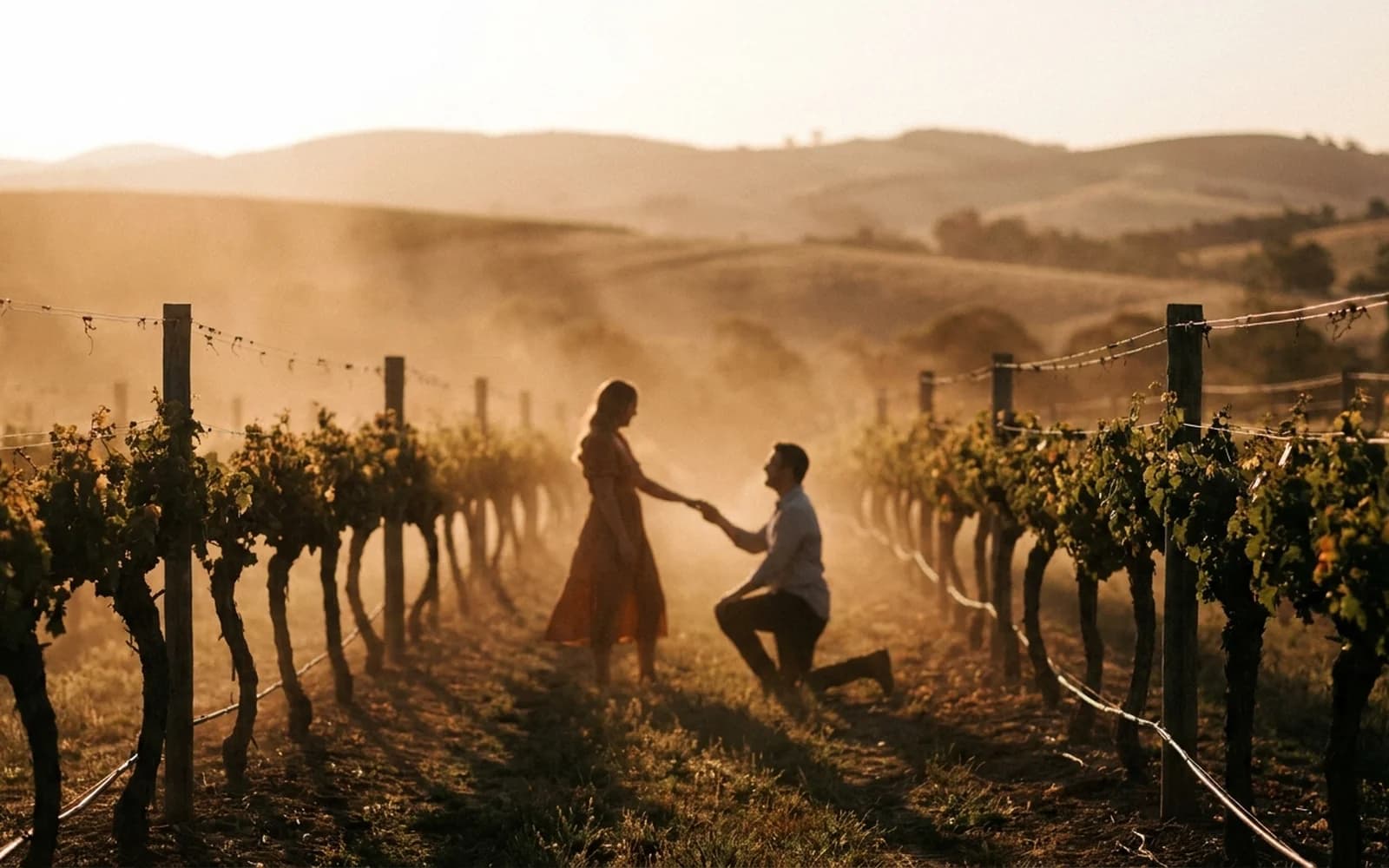 A vineyard proposal setting at golden hour in the Hunter Valley