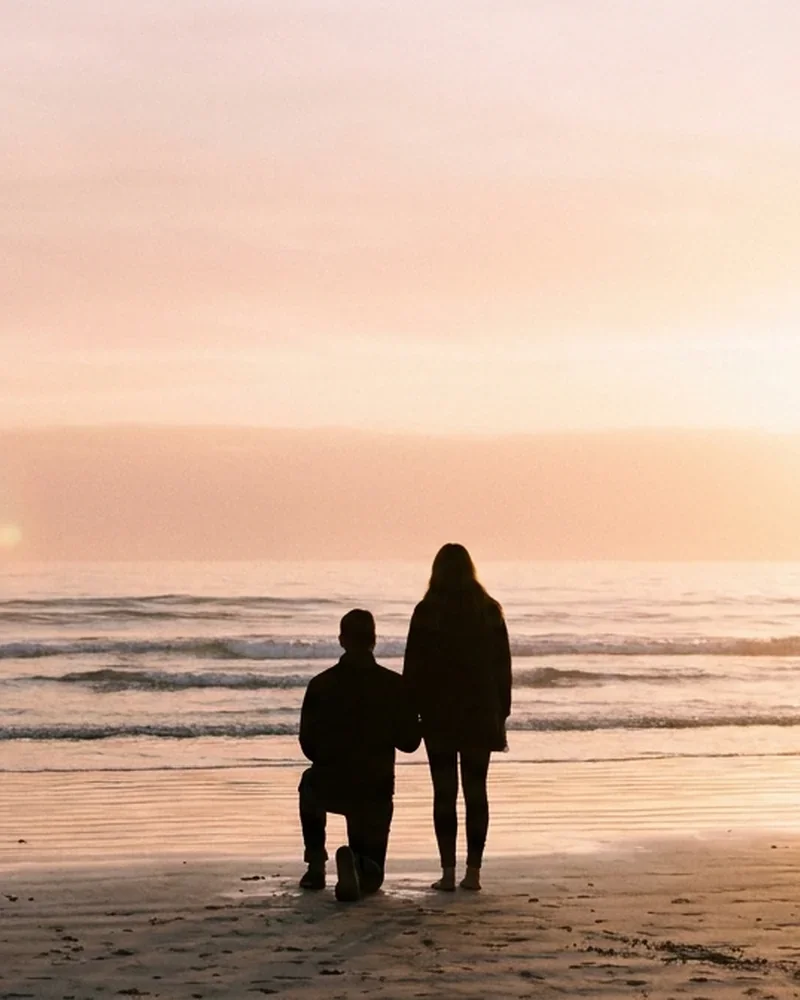 A styled Sydney proposal at golden hour